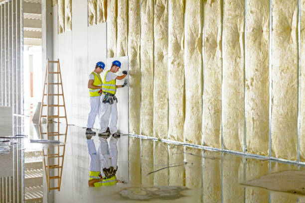 Best Commercial Insulation in Maricopa, CA